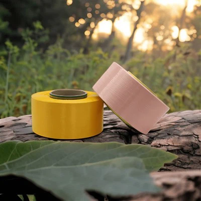 Good News! Haili Environmental Protection Has Been Selected As One Of The First Batch Of Zhejiang Province Manufacturing Single Champion Enterprises. Good News! Haili Environmental Protection Has Been Selected As One Of The First Batch Of Zhejiang Province Manufacturing Single Champion Enterprises.